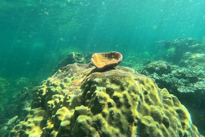 Phu Quoc: Snorkeling and Island Hopping By Speedboat with Lunch - A full day among Phu Quoc’s southern islands