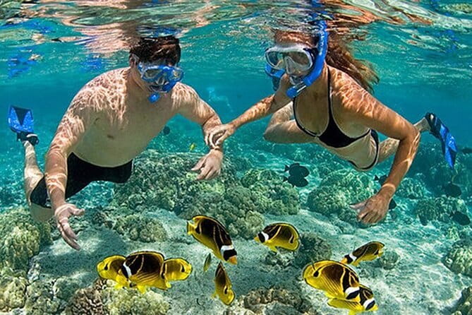 Phu Quoc: Snorkeling and Island Hopping By Speedboat with Lunch - What the $53.28 price really covers