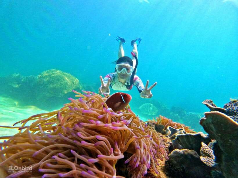 Phu Quoc: Speed Boat Tour 4 Islands - 2 Reefs Snorkeling - Four islands, two reefs, and a smaller boat