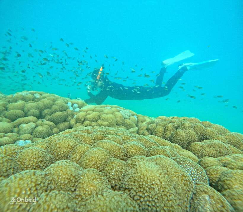 Phu Quoc: Speed Boat Tour 4 Islands - 2 Reefs Snorkeling - Why this six-hour trip works well
