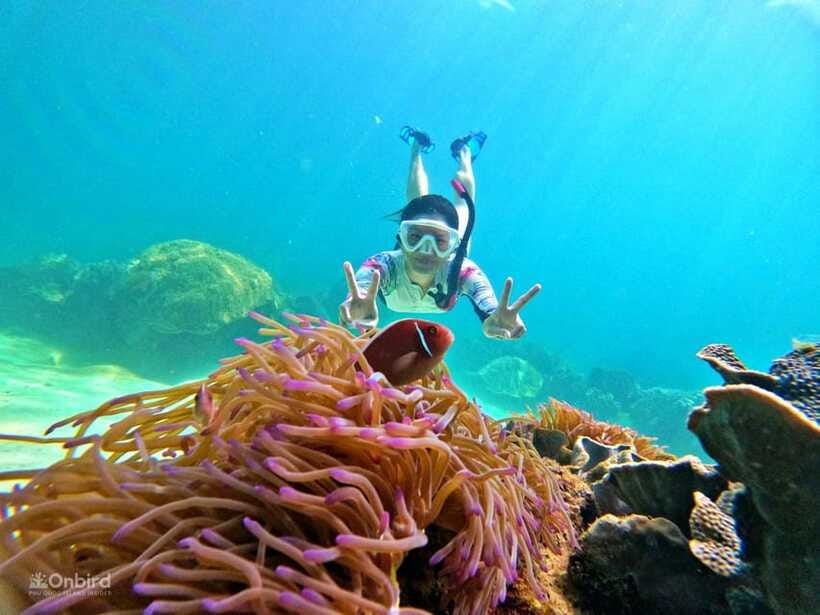 Phu Quoc: Speed Boat Tour 4 Islands - 2 Reefs Snorkeling - Four islands without the usual crowded feel