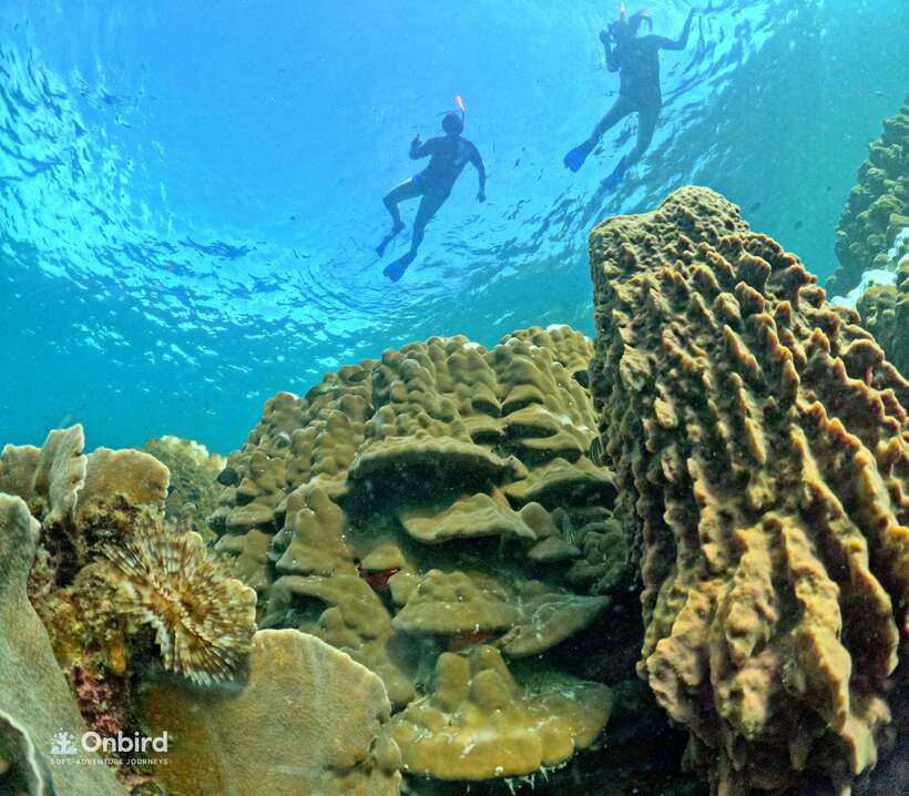 Phu Quoc: Speed Boat Tour 4 Islands - 2 Reefs Snorkeling - Guides who focus on safety, not sales stops