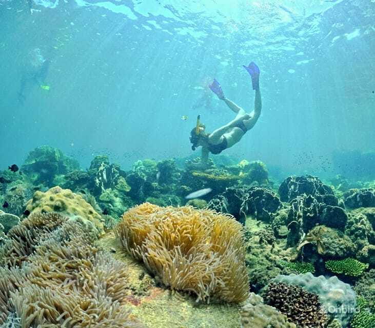 Phu Quoc Speedboat Pro Snorkeling: 4 Islands-2 Reefs & Meal - Stop five: sunset dinner on the main island