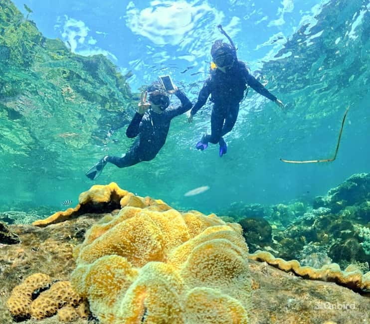 Phu Quoc Speedboat Pro Snorkeling: 4 Islands-2 Reefs & Meal - Five stops, with the reef time at the center