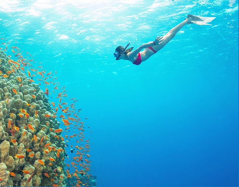 Phu Quoc: Speedboat Tour of 4 Islands with Snorkeling & BBQ - Key points to know before you book