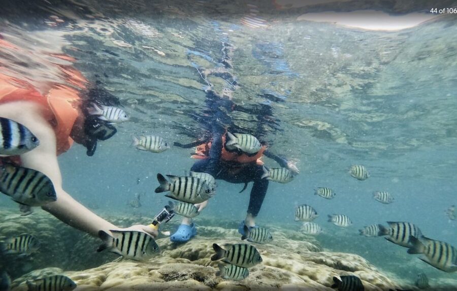 Phu Quoc: Speedboat Tour of 4 Islands with Snorkeling & BBQ - Weather, jellyfish, and route changes are part of the deal