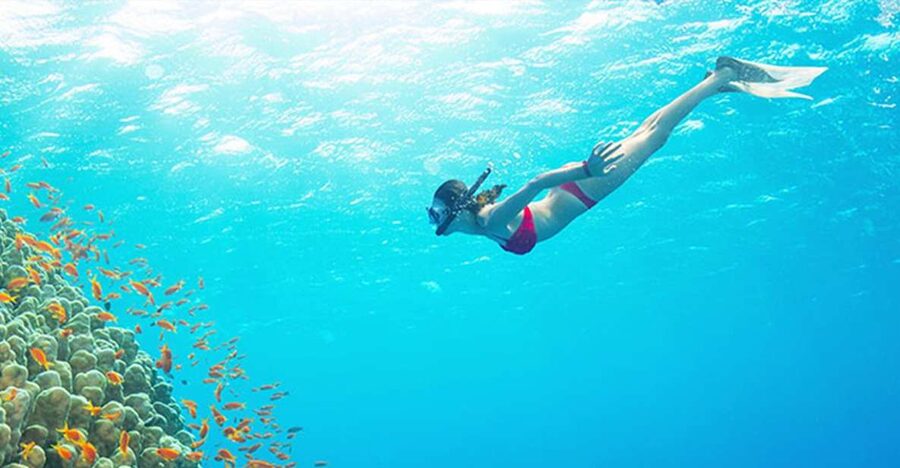 Phu Quoc: Speedboat Tour of 4 Islands with Snorkeling & BBQ - A six-hour island trip built around snorkeling