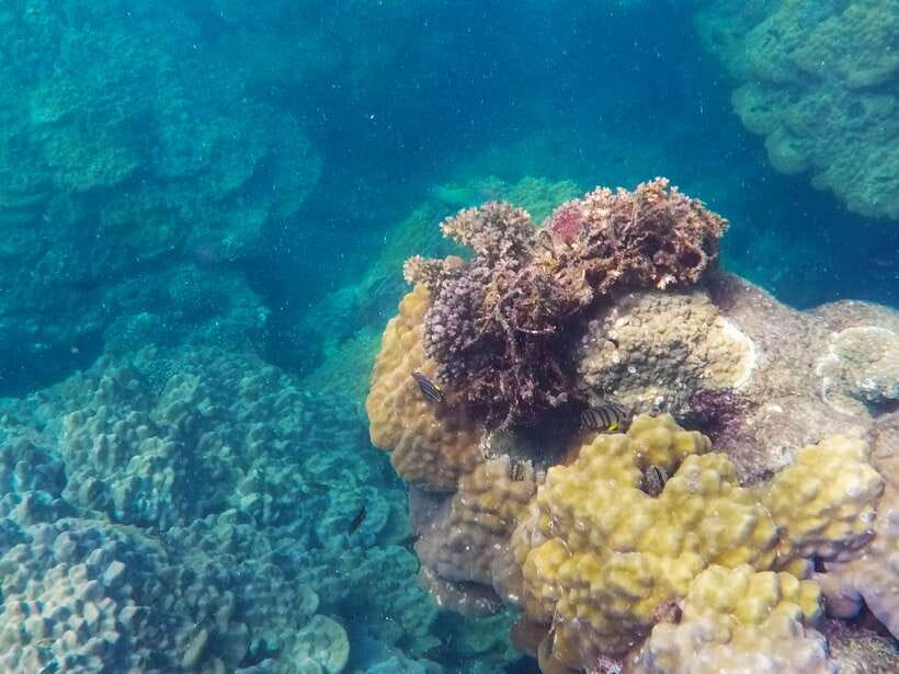 Phu Quoc Speedboat Trip: 3 Islands By Speedboat - The Optional Seawalker Near Hon Thom