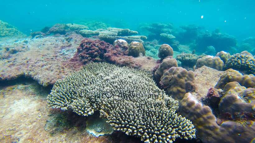 Phu Quoc Speedboat Trip: 3 Islands By Speedboat - What the $36 Price Really Covers