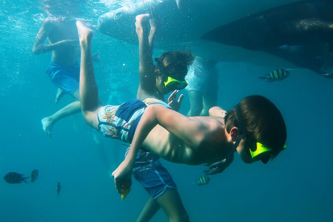 Phuket 3 Khai Island Speedboat With Snorkeling (Half or Full Day) - Morning, afternoon, or full day?