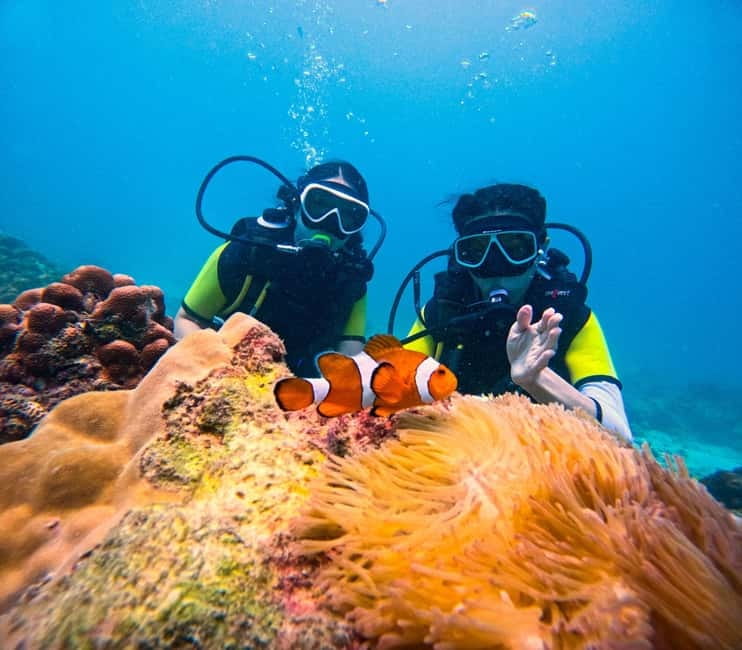Phuket: 3 Khai Islands Speedboat Tour- Snorkeling & Relaxing - Key points to know before booking