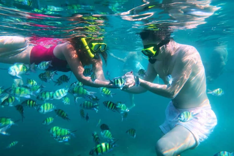 Phuket: 3 Khai Islands Speedboat Tour- Snorkeling & Relaxing - The boat ride, guides, and group feel