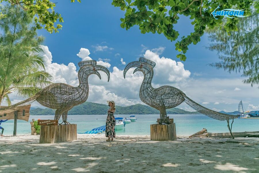 Phuket: Coral Island Day Tour by Speedboat - The 45-minute speedboat ride