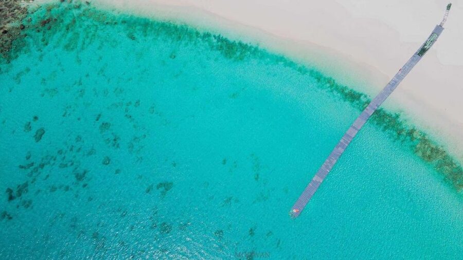 Phuket: Coral & Racha Islands Day Trip By Speedboat - Racha Island offers the best underwater time
