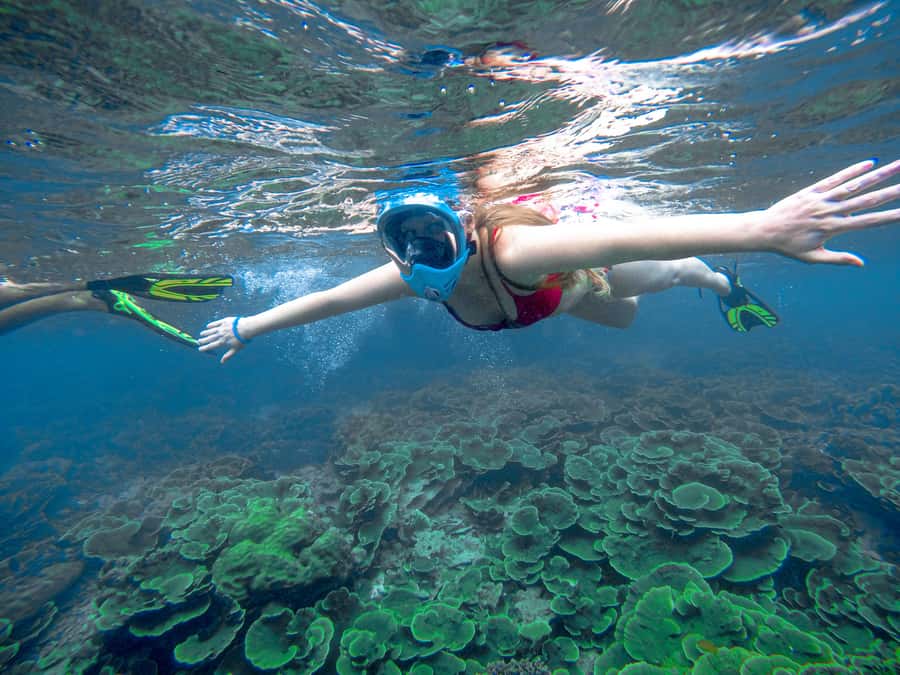 Phuket: Deluxe Phi Phi Tour by Speedboat & Lunch Buffet - What makes this Phi Phi day trip worth considering