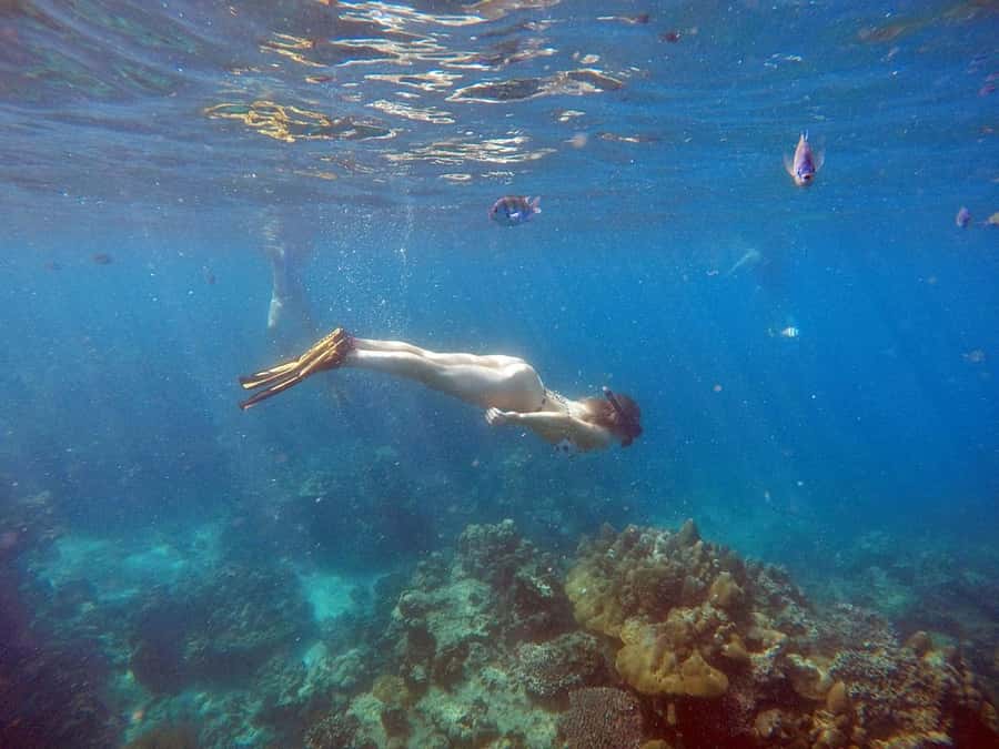 Phuket: Deluxe Phi Phi Tour by Speedboat & Lunch Buffet - Bamboo Island brings the first swim