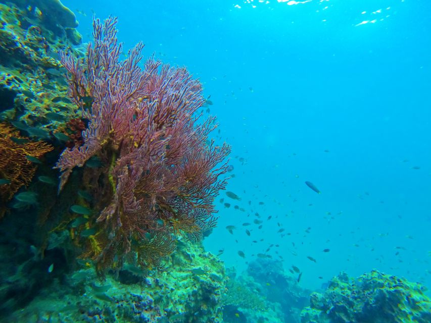 Phuket: Deluxe Phi Phi Tour by Speedboat & Lunch Buffet - Maya Bay is famous, beautiful, and often crowded
