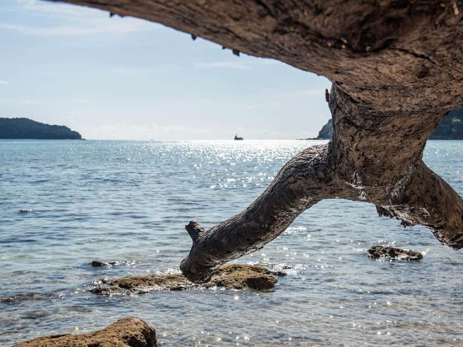 Phuket: James Bond Island Sea Canoe by Speedboat - James Bond Island and Khao Phing Kan
