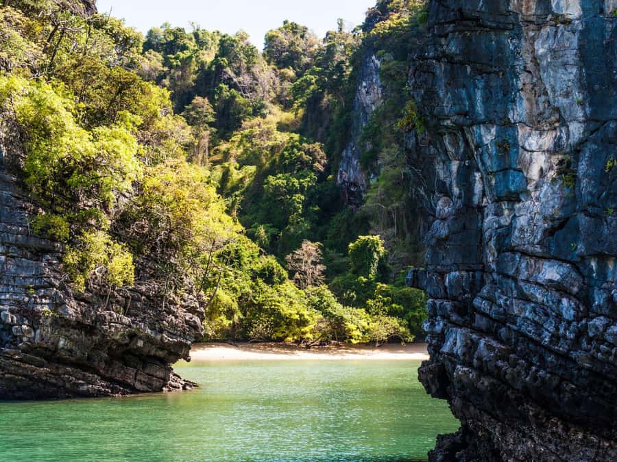 Phuket: James Bond Island Sea Canoe by Speedboat - Cruising past mangroves and Khao Khein