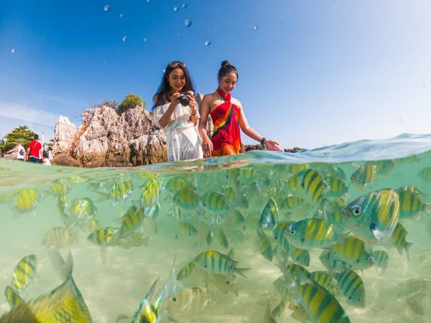 Phuket: Khai Islands Premium Speedboat Half Day Adventure - How this compares with a full-day island tour