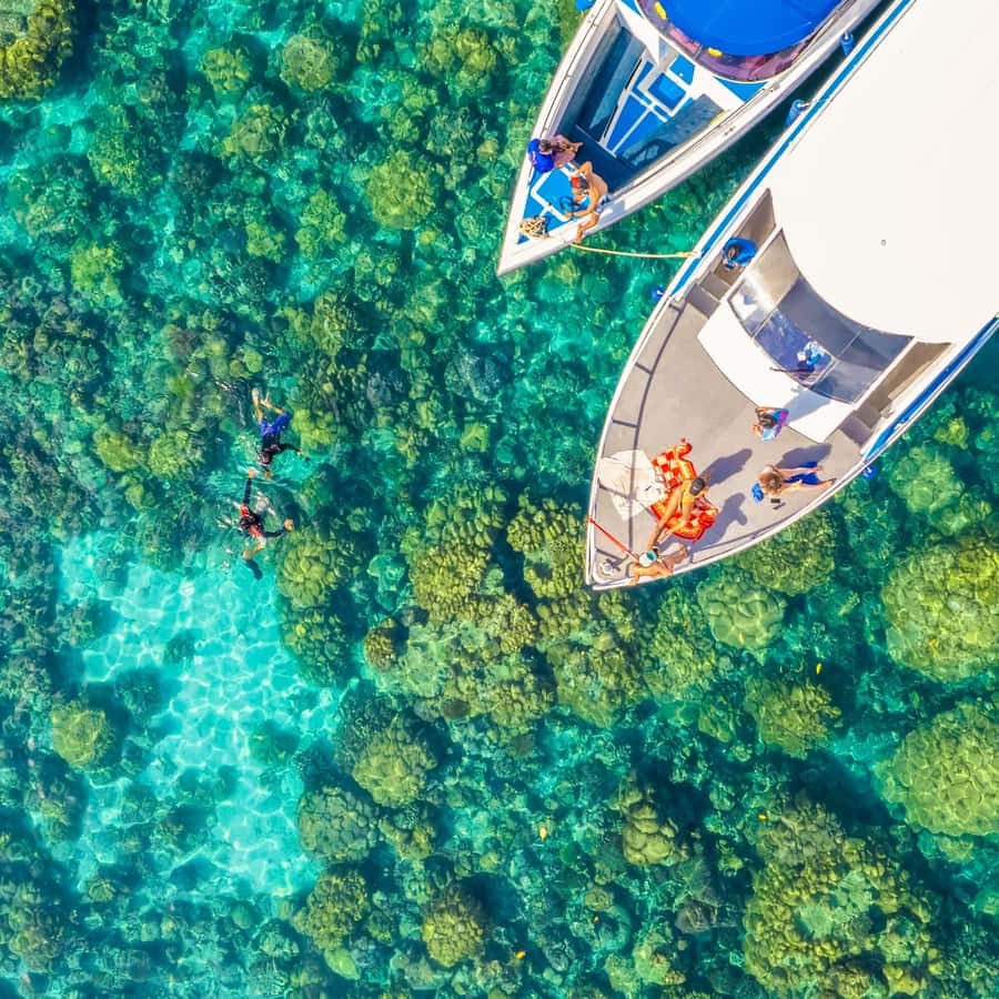 Phuket/Khao Lak: Similan Islands Speedboat Tour with Lunch - What the $112 price really buys