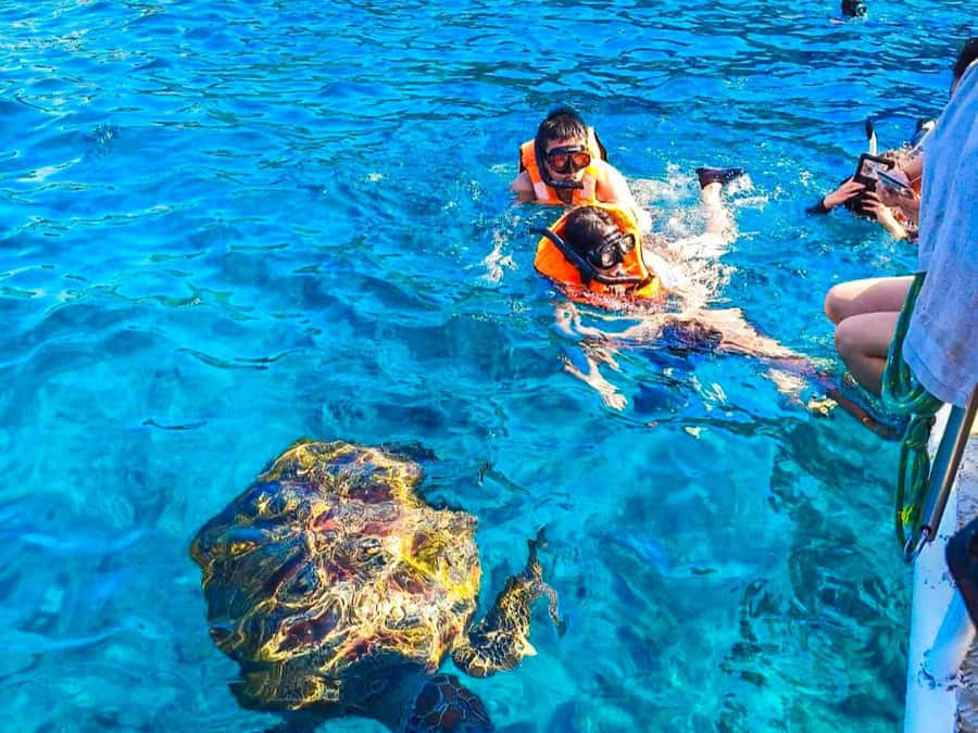 Phuket/Khao Lak: Similan Islands Speedboat Tour with Lunch - Lunch, fruit, and beach time on Ko Miang