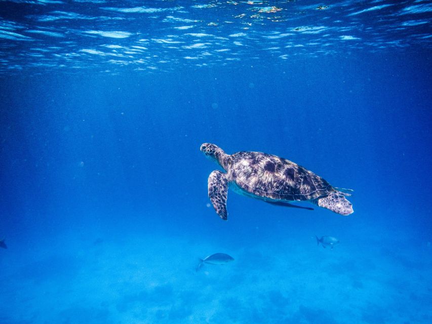 Phuket/Khao Lak: Speedboat Snorkel Tour to Similan Islands - The speedboat ride is part of the calculation