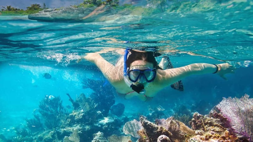 Phuket : Phi Phi Island Trip by Speedboat with Lunch - Who will enjoy this trip most