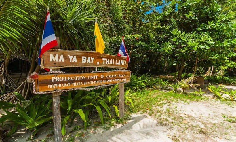 Phuket : Phi Phi Island Trip by Speedboat with Lunch - Maya Bay and Phi Phi’s famous cliffs