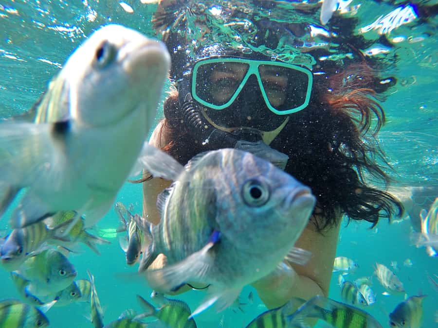 Phuket: Phi Phi & James Bond Island Combo Day Tour w/Lunch - The early start and Royal Phuket Marina