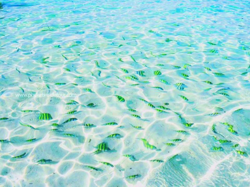 Phuket: Phi Phi & Khai Island Private Speedboat Charter Tour - Key points before you book