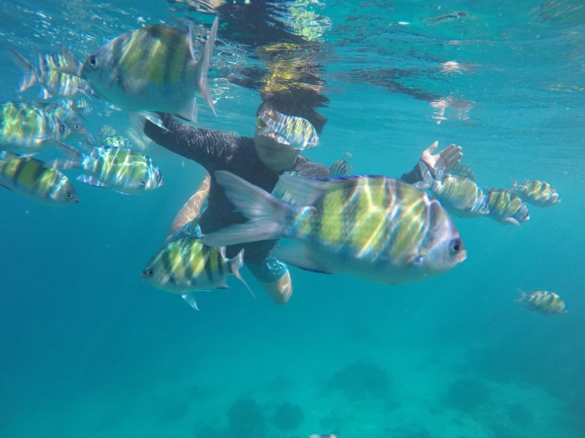 Phuket: Phi Phi & Khai Island Private Speedboat Charter Tour - Khai Island for sand, rocks, and snorkeling