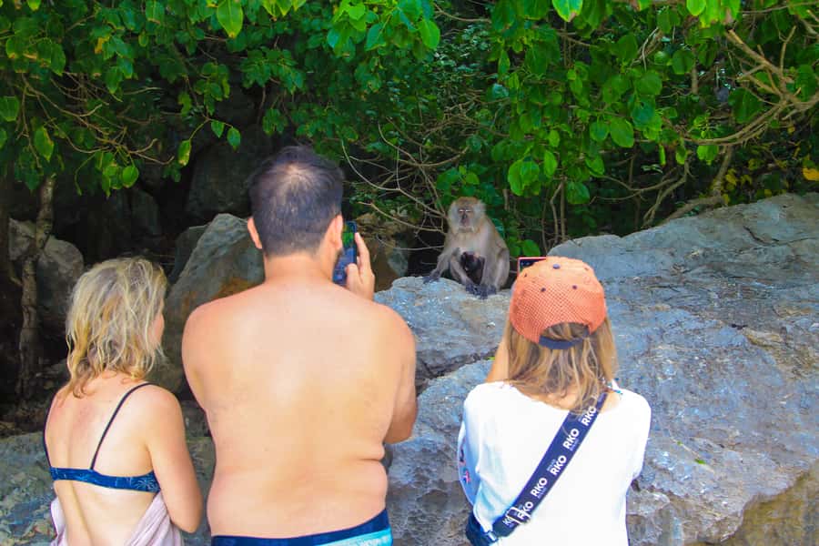 Phuket: Phi Phi Khai or Maiton Island by Speedboat/Catamaran - Timing, comfort, and who should book