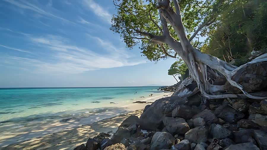 Phuket; Phi Phi, Maya Bay, Bamboo or Khai Island Speedboat - Loh Samah Bay is a short scenic pause