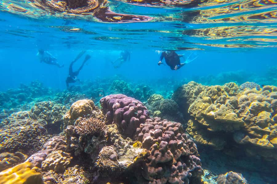 Phuket: Similan day full day trip by speedboat - Key points to know before booking