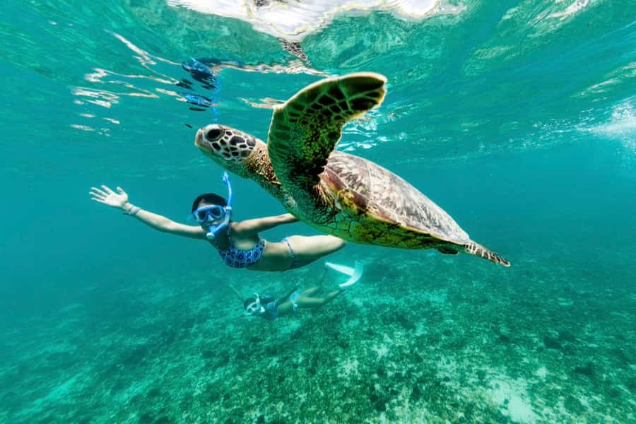 Phuket: Similan day full day trip by speedboat - Why the Similan Islands make such a strong day trip