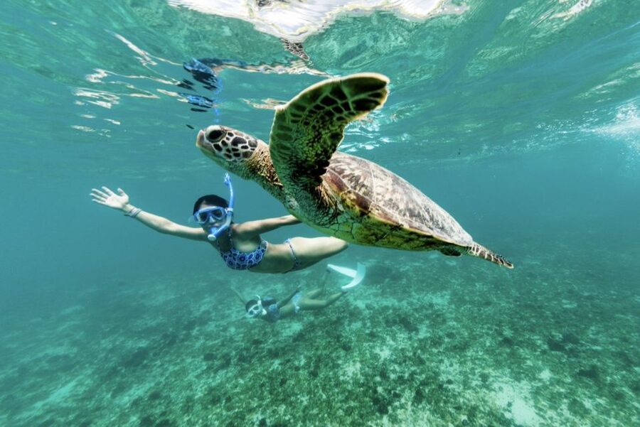 Phuket: Similan day full day trip by speedboat - Lunch and the practical value of included food