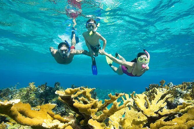 Phuket Similan Island Andaman Ocean Tour by Van and Speedboat - Snorkeling around Islands 5 and 6