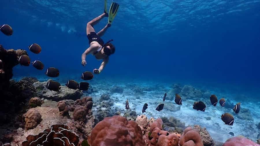 Phuket: Similan Islands Day Tour by Speedboat with Lunch - Koh Miang and lunch at Princess Bay
