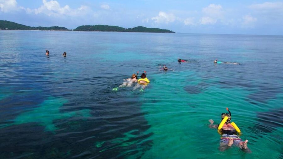 Phuket to Phi Phi Full-Day Luxury Speed Boat Charter - Who will enjoy this charter most