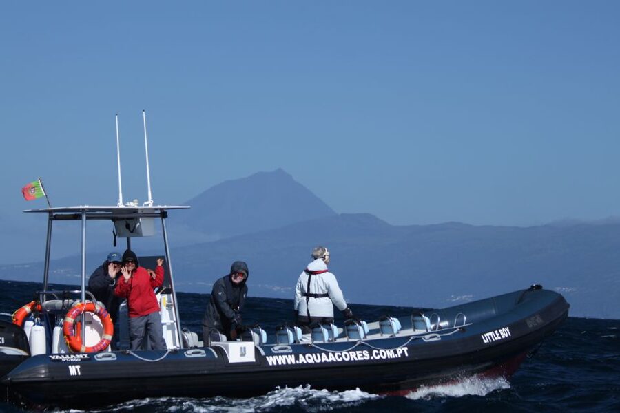 Pico Island: Azores Whale & Dolphin Watching on Zodiac Boat - Setting out from Lajes do Pico harbor