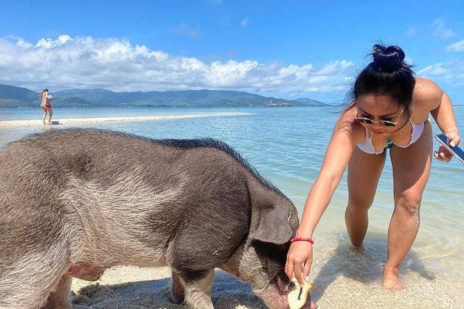 Pig Feeding, Kayaking, Snorkeling Trip at Pig Island By Speedboat From Koh Samui - Three hours on Koh Madsum