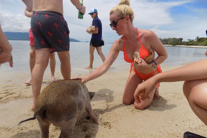 Pig Feeding, Kayaking, Snorkeling Trip at Pig Island By Speedboat From Koh Samui - What the $57.92 price really covers