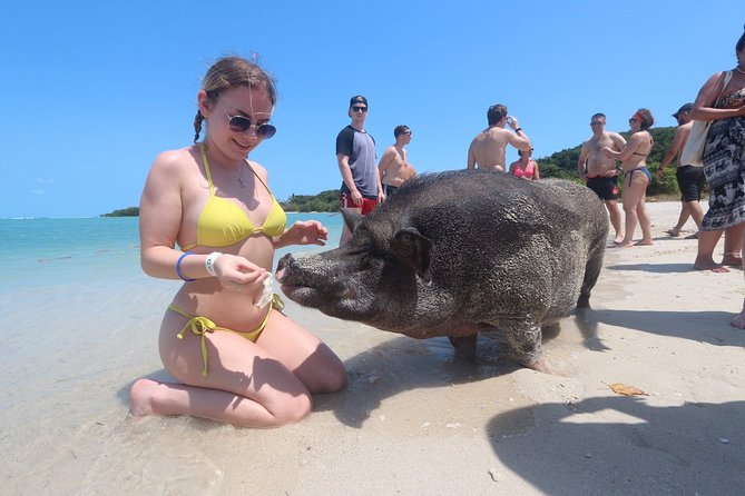 Pig Feeding, Kayaking, Snorkeling Trip at Pig Island By Speedboat From Koh Samui - The main weakness is organization