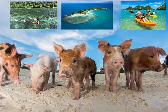 Pig Island Experience By Speed Boat, Snorkeling, Kayaking Relaxing on the Beach - Key points to know before booking