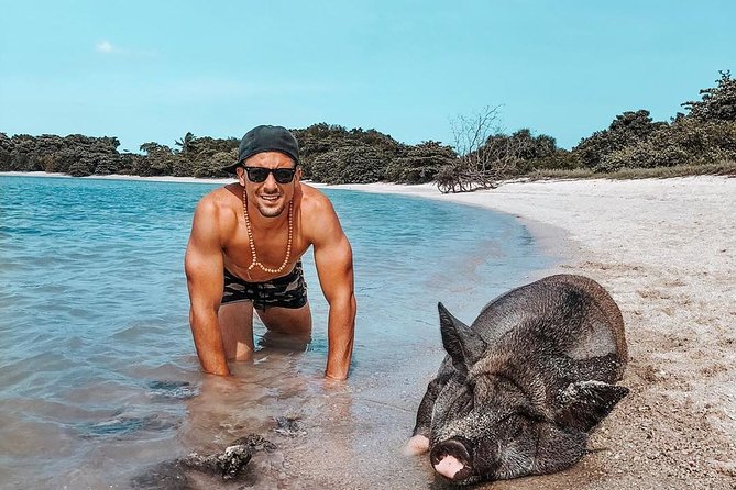Pig Island Experience By Speed Boat, Snorkeling, Kayaking Relaxing on the Beach - Three hours on Koh Madsum