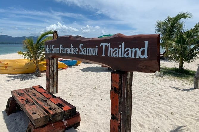 Pig Island & Koh Tan Tour by Speed Boat (Snorkeling & Kayaking) - Koh Mudsum, where the pigs share the beach