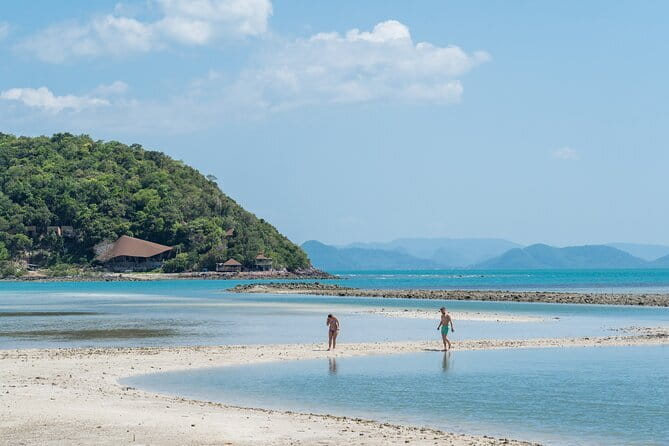 Pig Island & Koh Tan Tour by Speed Boat (Snorkeling & Kayaking) - Koh Tan and the snorkeling stop
