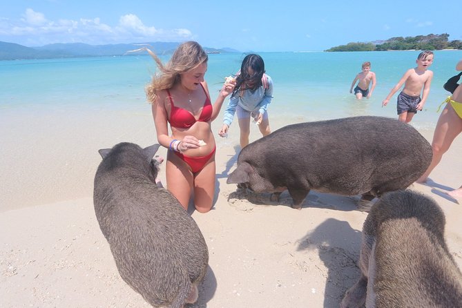 Pig Island Snorkeling & Sightseeing Tour By Speedboat From Koh Samui - Koh Tan offers the main snorkeling stop