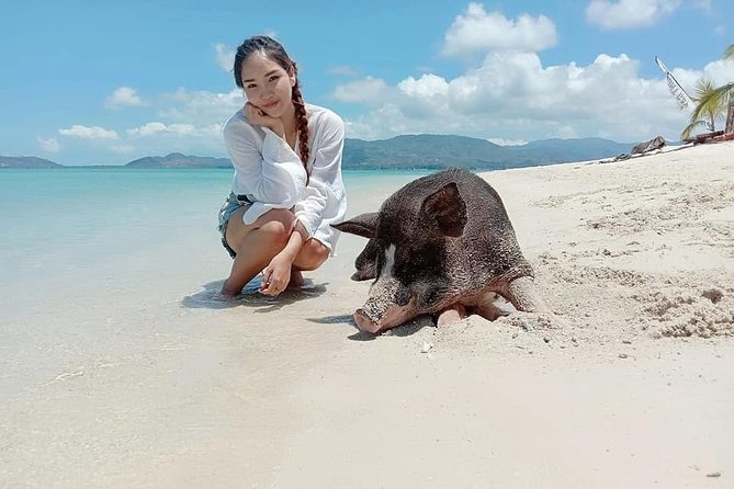 Pig Island Snorkeling & Sightseeing Tour By Speedboat From Koh Samui - Crowds change the feel of Pig Island